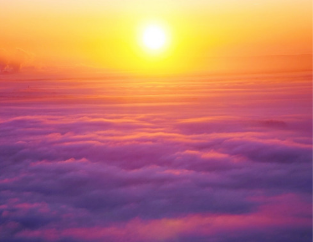 Formation Vibration de Libération des Blocages (à distance)