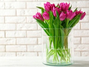 Nettoyage énergétique et traitement des problèmes géobiologiques